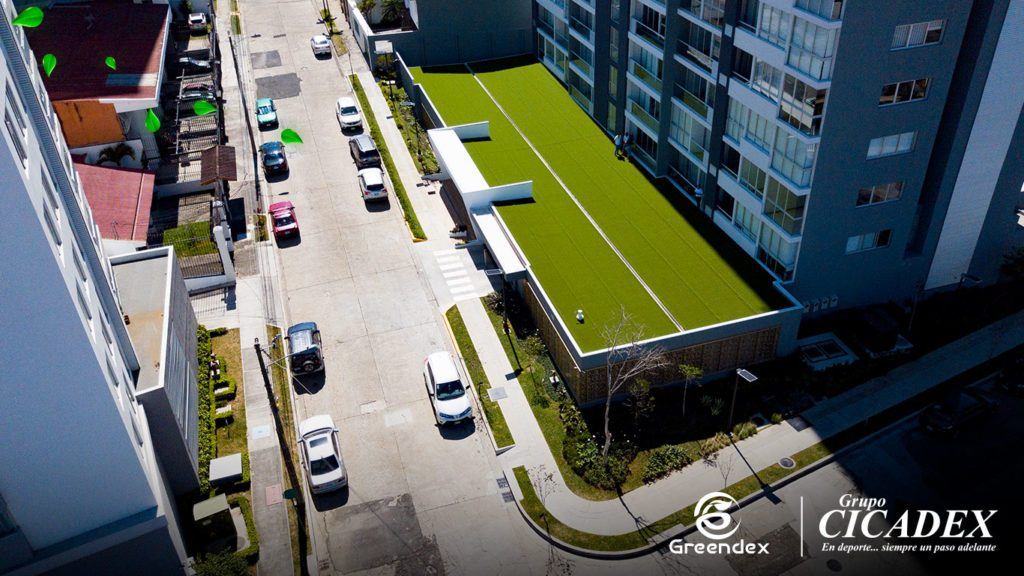 Ununciatura cesped decorativo 1 1024x576 1