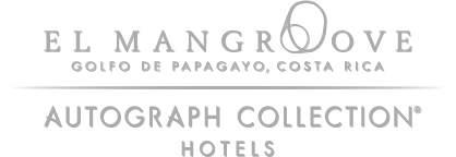 Logo Mangroove hotel